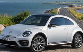 BEETLE